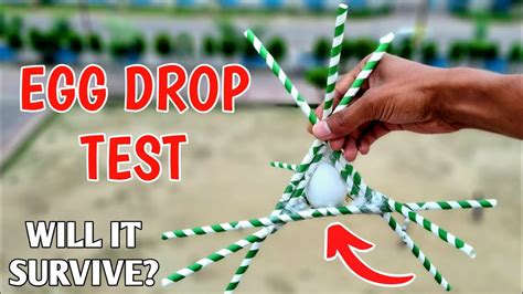 things similar to an egg to test egg drop|egg drop activities.